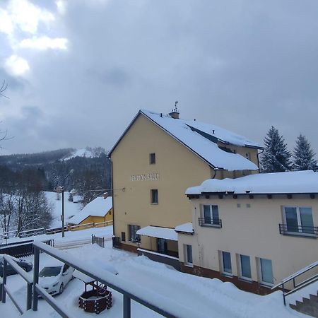 Penzion Sally Albrechtice v Jizerskych horach Buitenkant foto