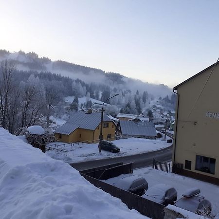 Penzion Sally Albrechtice v Jizerskych horach Buitenkant foto